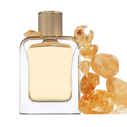 GOLDEN OUD - 85 ml