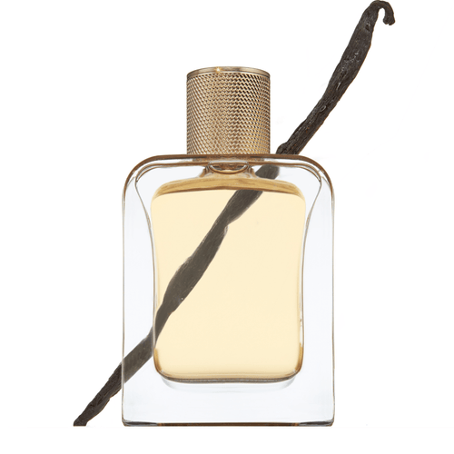 LE POINT G - 85 ml
