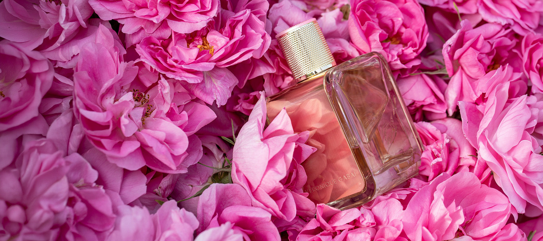 ROSE PREMIÈRE