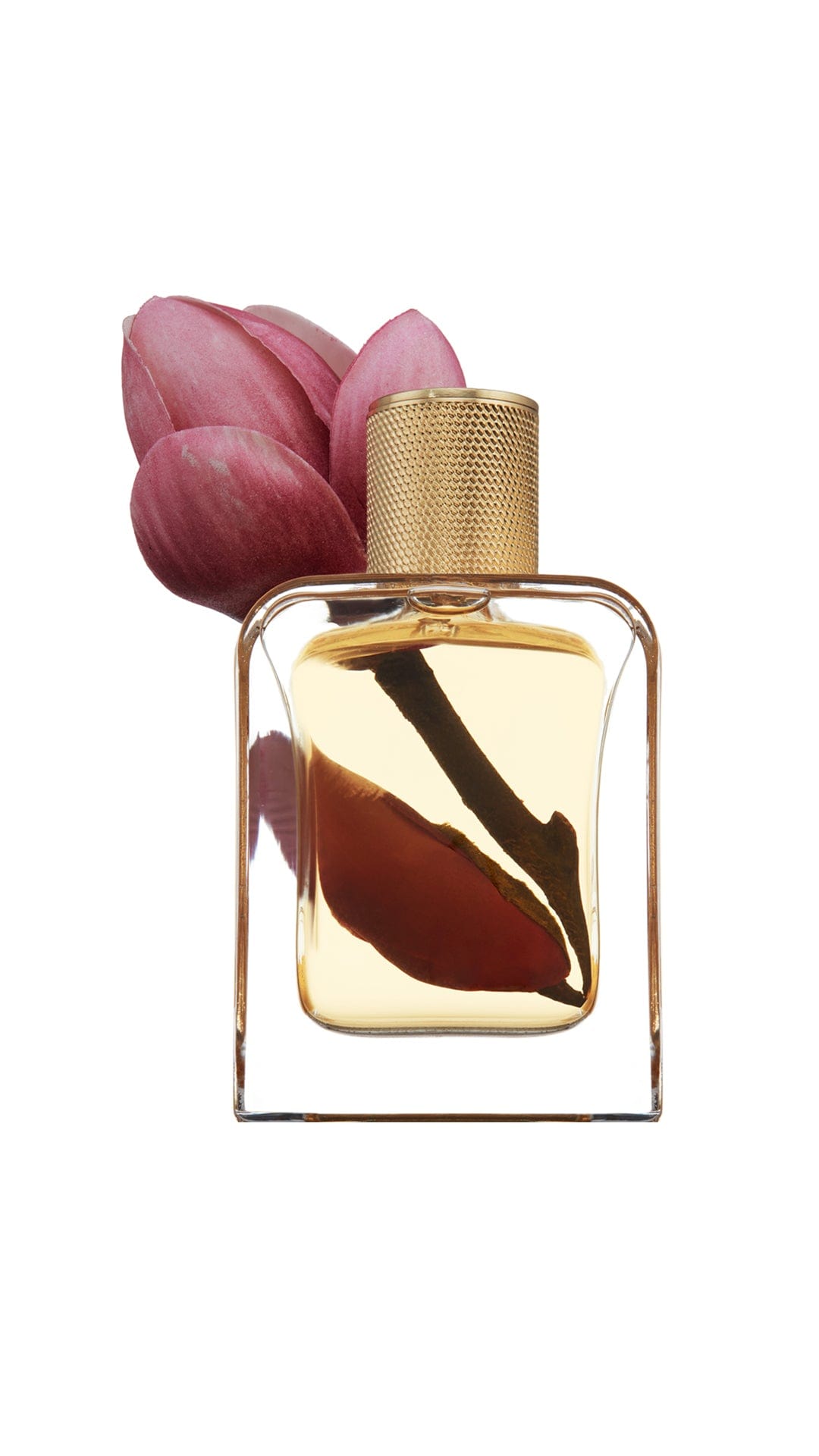 Lumière d'Iris — bottle with magnolia