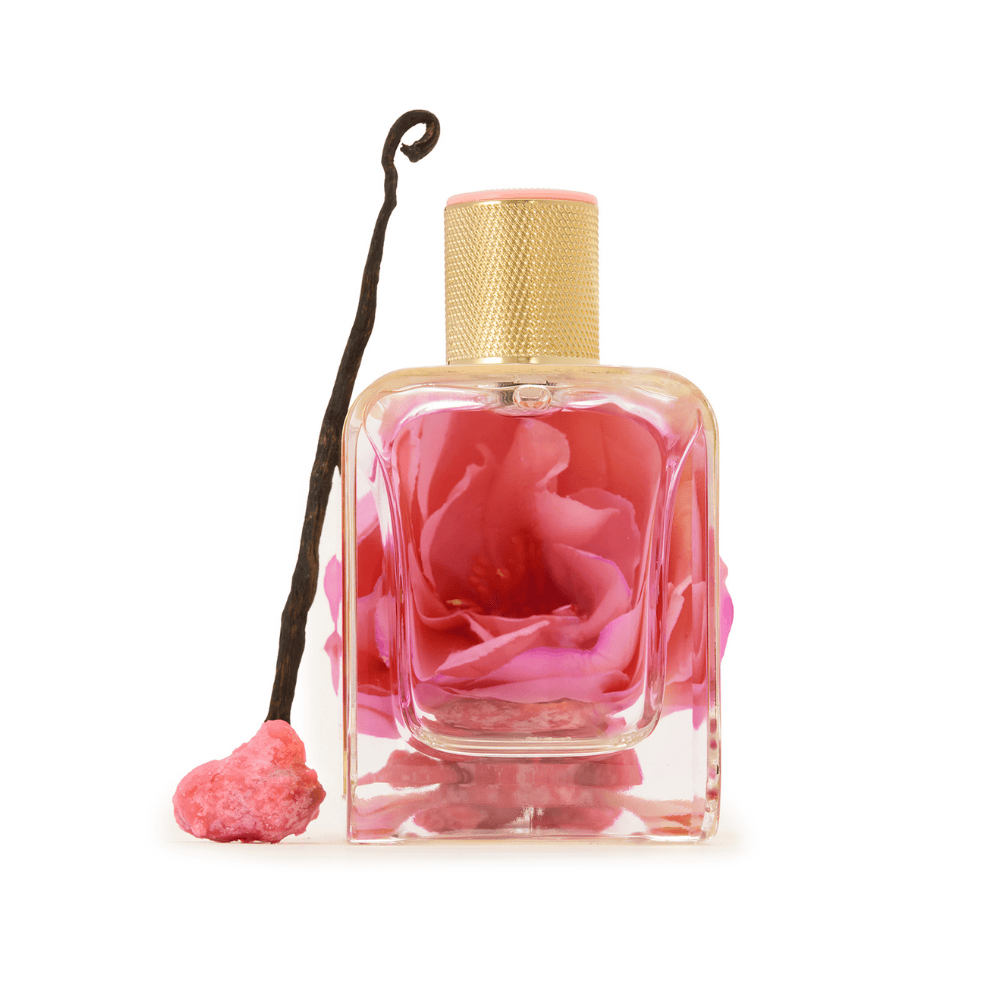 Rose Première — olfactory notes