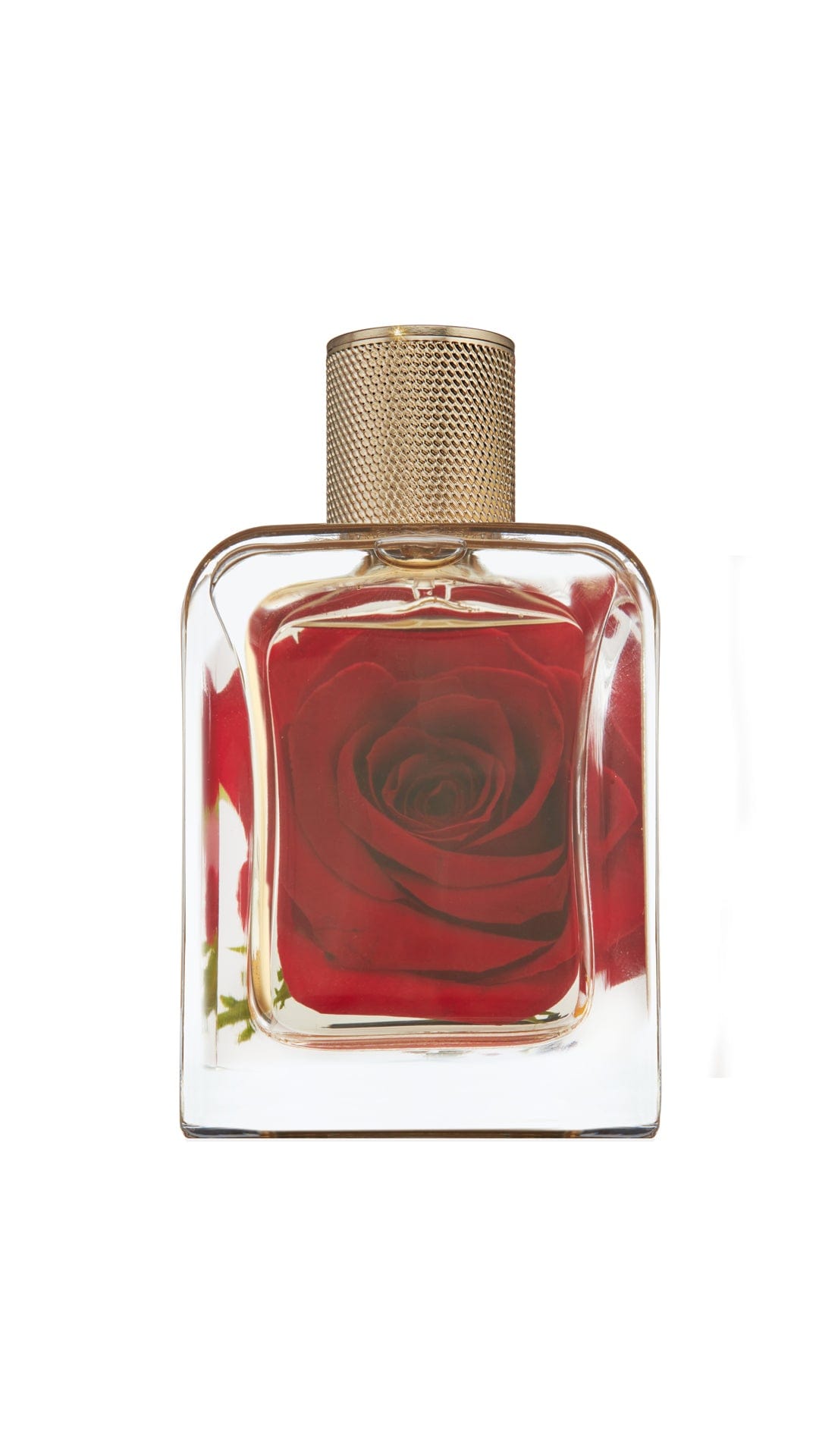 Noire de Mai — bottle with dark rose