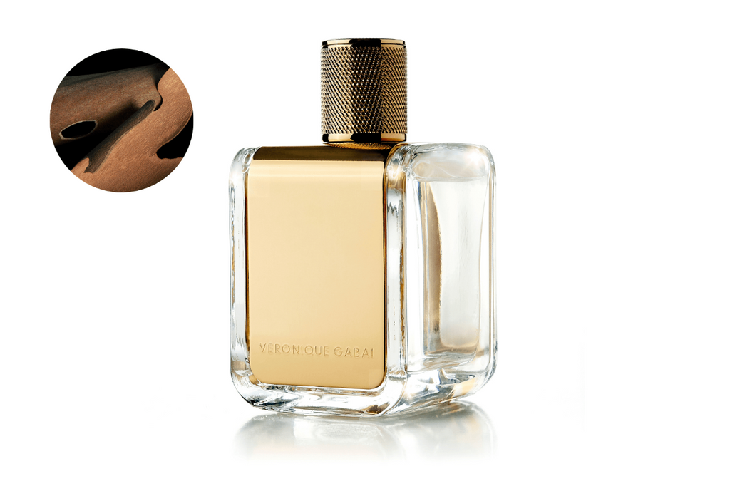 Booster Eau de la Nuit - Perfume - Veronique Gabai
