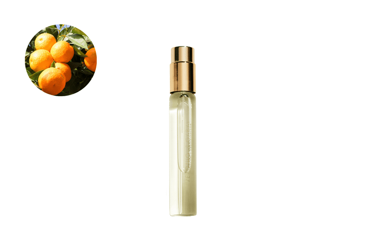 Eau de Parfum - Vibrant Citrusy Woody Perfume BOOSTER EAU DU JOUR - 10ml