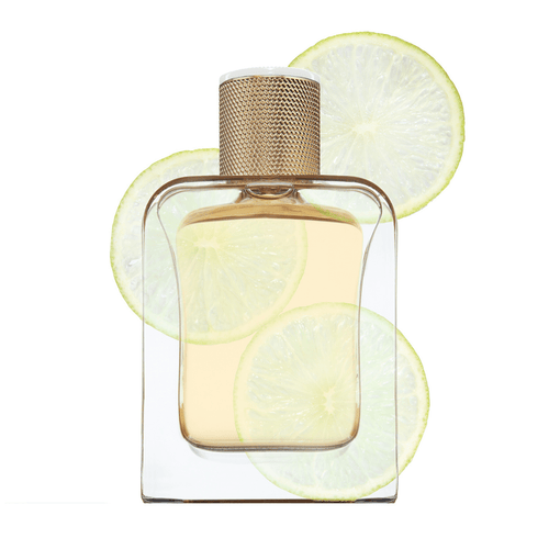 Eau de Parfum - Vibrant Citrusy Woody Perfume BOOSTER EAU DU JOUR - 85 ml