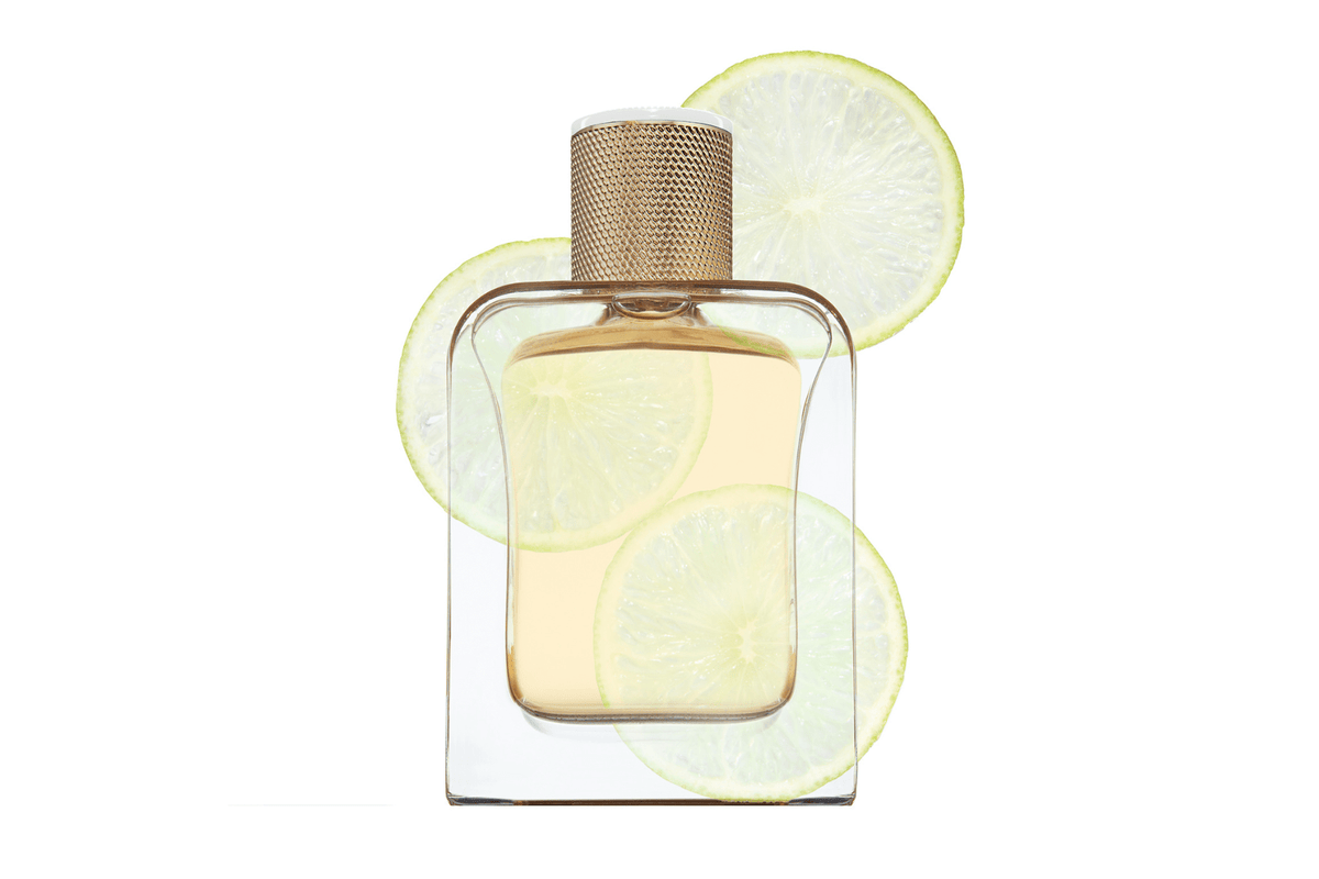 Eau de Parfum - Vibrant Citrusy Woody Perfume BOOSTER EAU DU JOUR - 85 ml