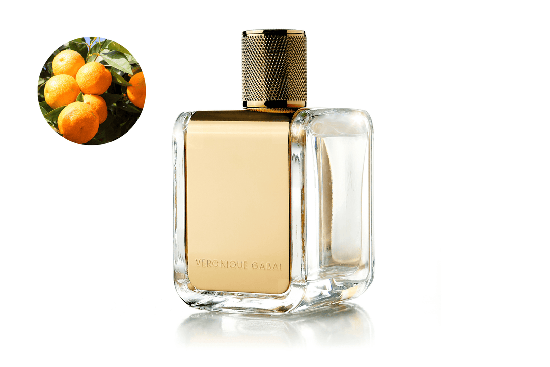 Eau de Parfum - Vibrant Citrusy Woody Perfume BOOSTER EAU DU JOUR - 85 ml