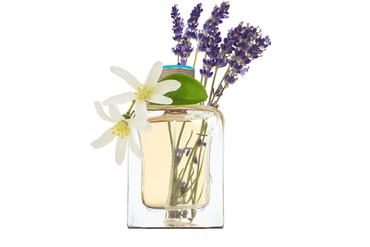 Eau d'Azur — olfactory notes