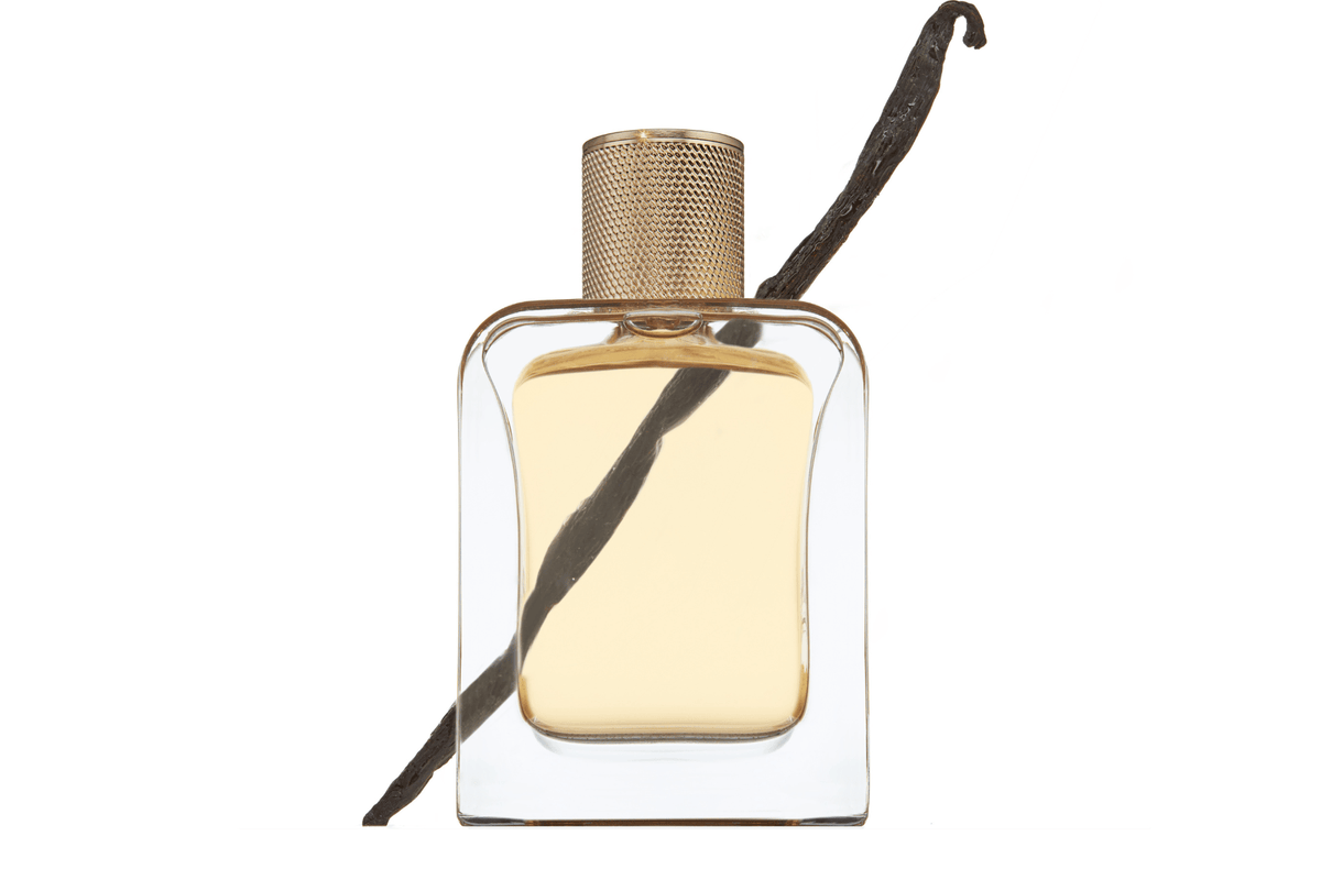 Eau de Parfum - Musk, seductive and comforting Perfume LE POINT G - 85 ml