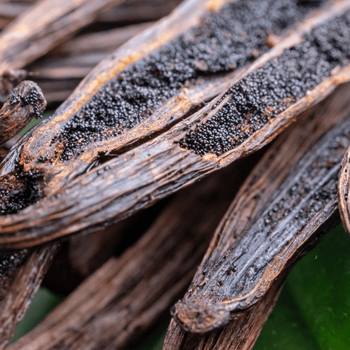 Eau de Parfum - Musk, seductive and comforting Perfume LE POINT G - 85 ml