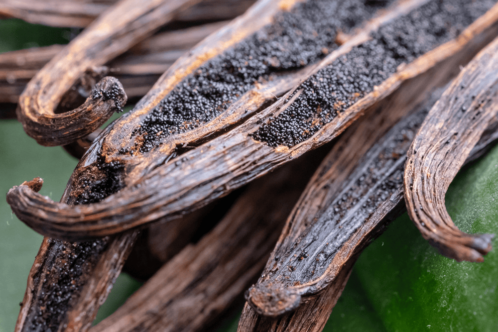 Eau de Parfum - Musk, seductive and comforting Perfume LE POINT G - 85 ml