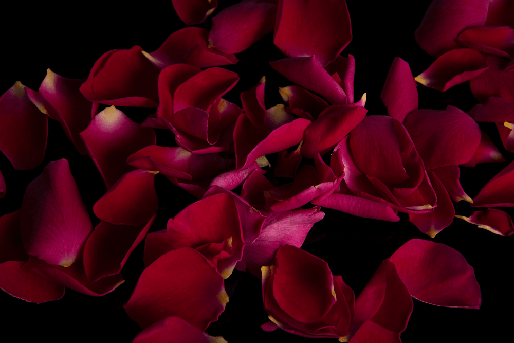 Eau de Parfum - Sensual Woody Oriental Perfume NOIRE DE MAI - 85 ml