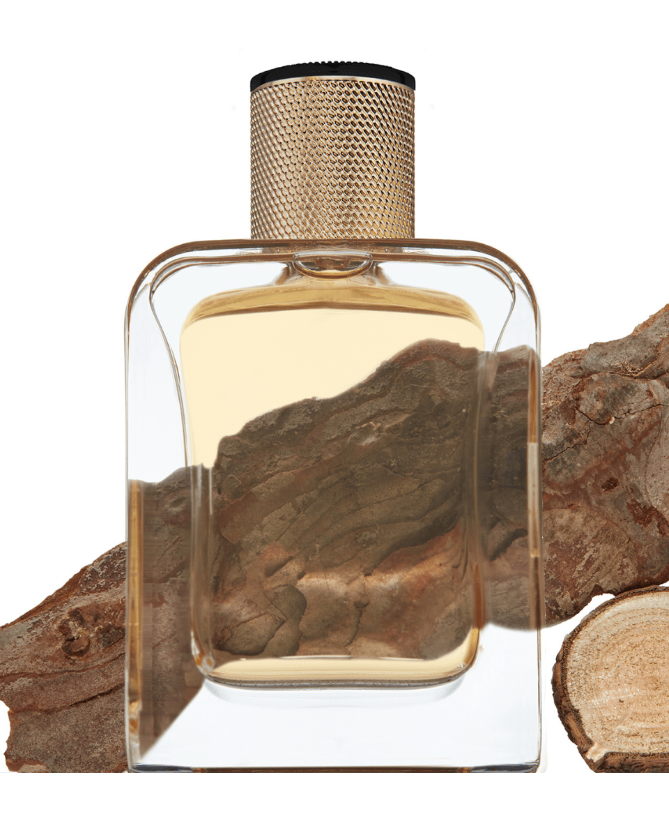 Eau De Parfum Woody Ambery Perfume OUD ELIXIR