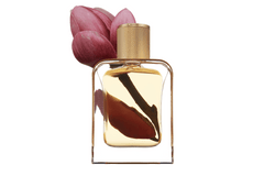 Eau de Parfum - Dazzling White Floral Perfume READY FOR ROSÉ - 85 ml