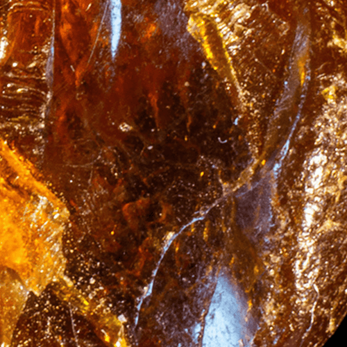 Eau de Parfum - Sinful Ambery Woody Perfume SEXY GARRIGUE - Refill 125 ml