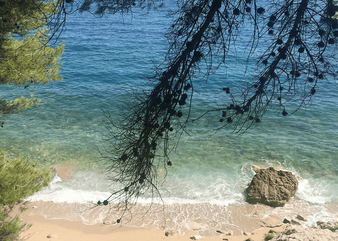 Perfume Sample Perfume Sample SUR LA PLAGE - Sample 1.5 ml