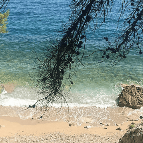 Eau de Parfum - Breezy Marine Floral Perfume SUR LA PLAGE - Refill 125 ml