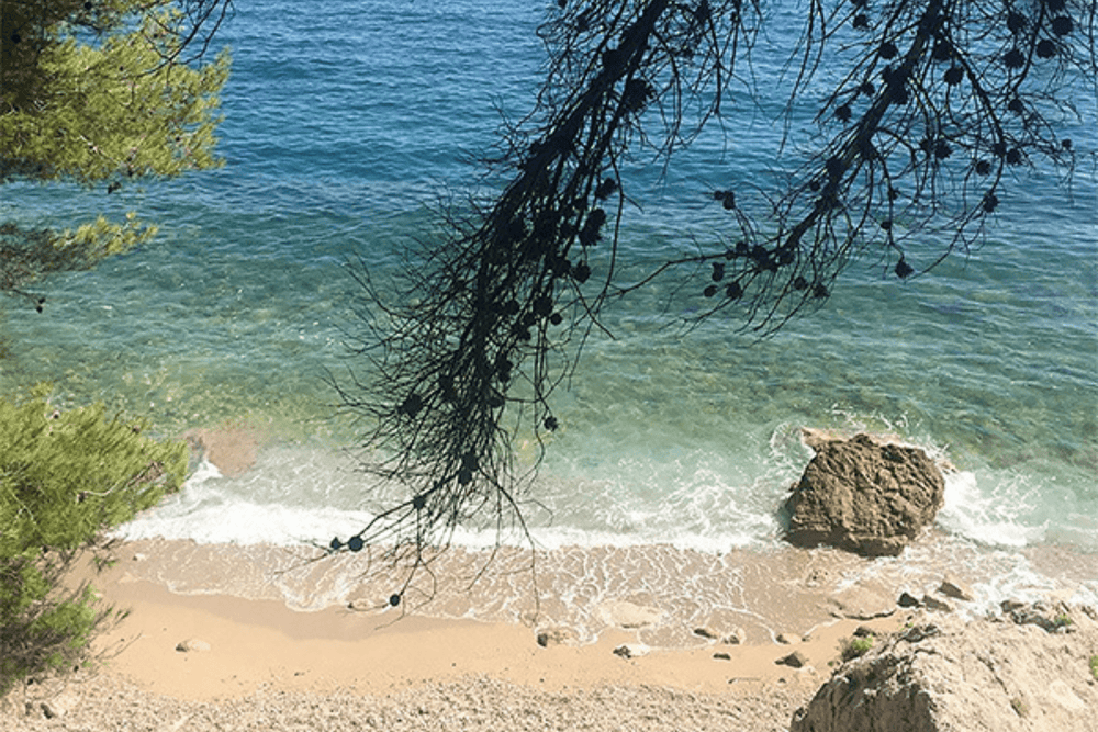 Eau de Parfum - Breezy Marine Floral Perfume SUR LA PLAGE - Refill 125 ml