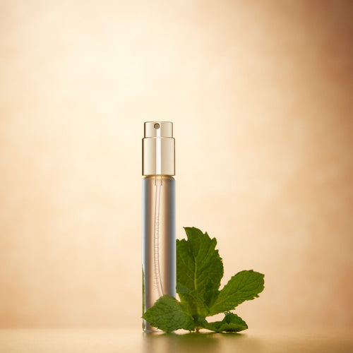 Veronique Gabai THE FRESH Traveler Set