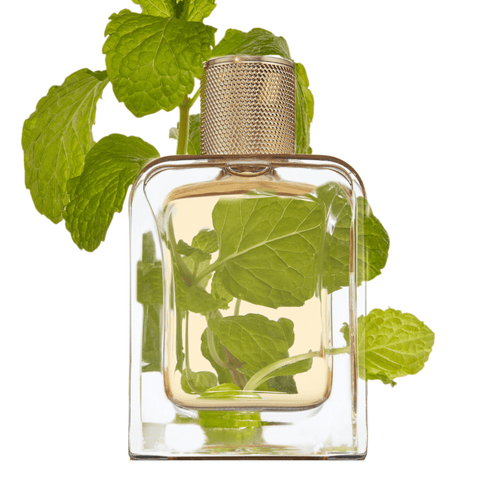 Eau de Parfum - Splashy Green Woody Perfume VERT DÉSIR - 85 ml