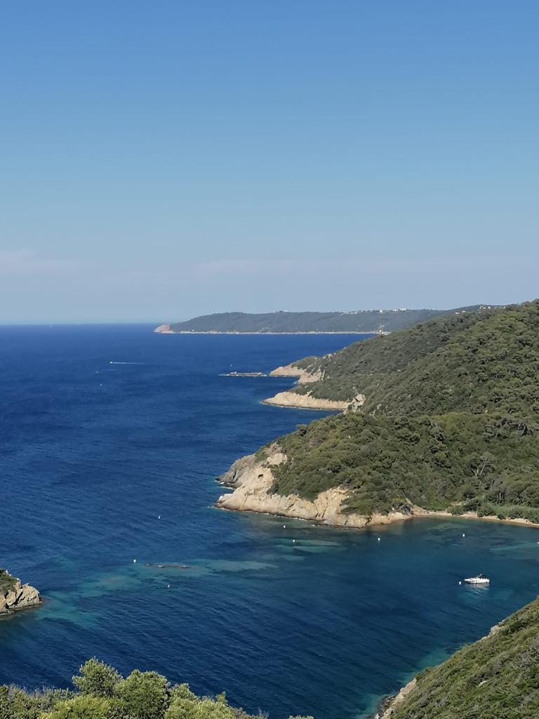 Côte d'Azur coastline from above