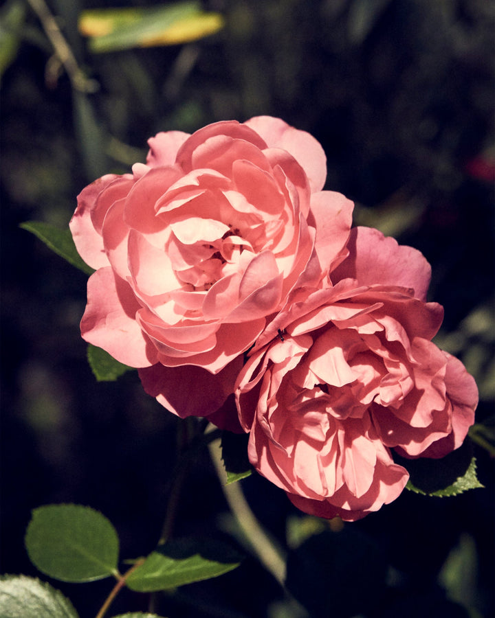 Aromatherapy Eau de Parfum BODY Candle